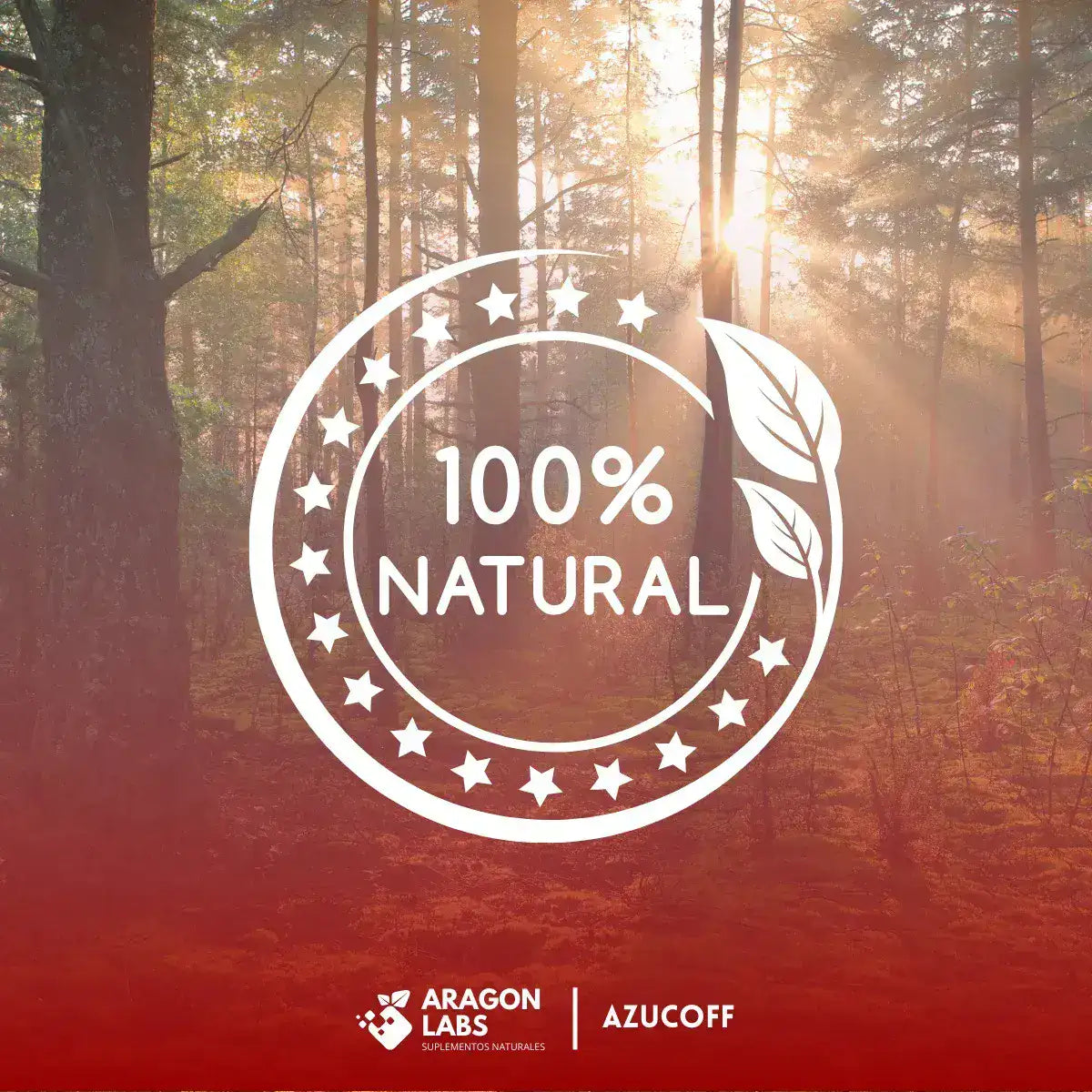 AZUCOFF | Control Natural de la Glucosa con Té Verde y Arándanos - HOUSKYCHILE