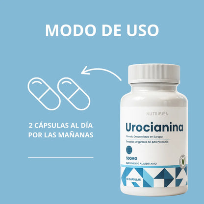 🌿UROCIANINA – Apoyo natural para la salud de la próstata - HOUSKYCHILE