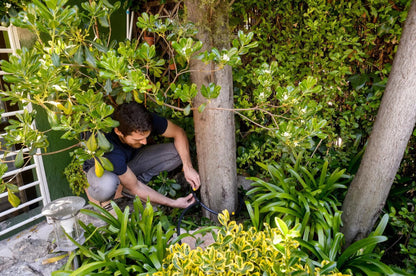 Kit de Riego Automático 10 m -  Riego Fácil y Ahorro de Agua - HOUSKYCHILE